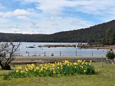 House For Sale - TAS - Bradys Lake - 7140 - Waterfront Views, Modern Comfort & Endless Possibilities (Image 2)