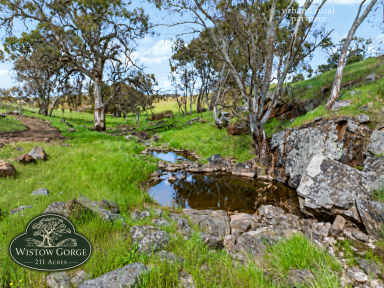 Mixed Farming For Sale - SA - Wistow - 5251 - WISTOW GORGE - ADELAIDE HILLS  (Image 2)