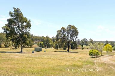 House For Sale - WA - Gidgegannup - 6083 - 50 Glorious Acres Of Pasture & Parkland Paradise  (Image 2)
