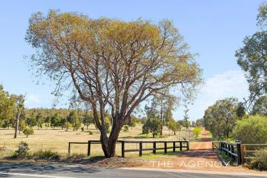 House For Sale - WA - Gidgegannup - 6083 - 50 Glorious Acres Of Pasture & Parkland Paradise  (Image 2)
