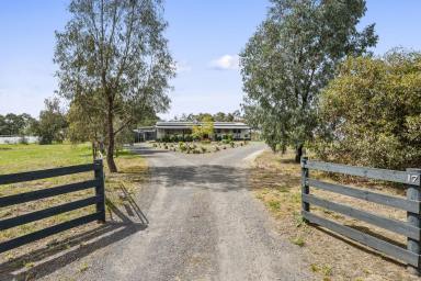 House For Sale - VIC - Violet Town - 3669 - Town Convenience, Country Space  (Image 2)
