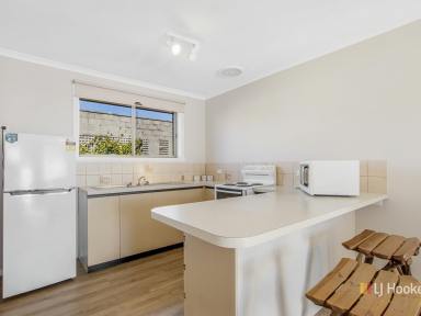 Unit For Sale - TAS - Devonport - 7310 - All Gunns Blazing  (Image 2)