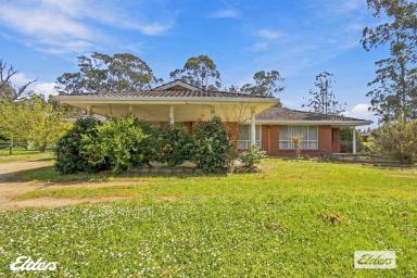 Farmlet For Sale - VIC - Devon North - 3971 - BIG, BOLD AND CLOSE TO TOWN (Image 2)