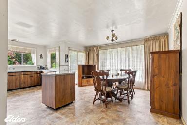 Farmlet For Sale - VIC - Devon North - 3971 - BIG, BOLD AND CLOSE TO TOWN  (Image 2)
