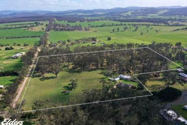 Farmlet For Sale - VIC - Devon North - 3971 - BIG, BOLD AND CLOSE TO TOWN  (Image 2)