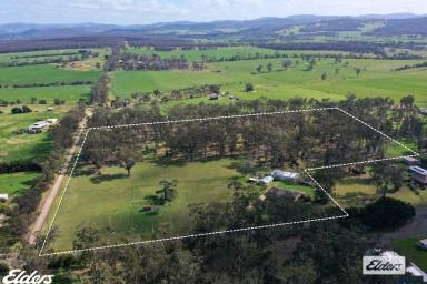 Farmlet For Sale - VIC - Devon North - 3971 - BIG, BOLD AND CLOSE TO TOWN (Image 2)