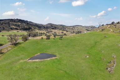 Other (Rural) For Sale - NSW - Wyangala - 2808 - Put your Weekender Here! Picturesque 20acre* Lifestyle Rural Property, 6mins* to Wyangala Waters!  (Image 2)