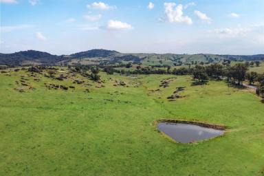 Other (Rural) For Sale - NSW - Wyangala - 2808 - Put your Weekender Here! Picturesque 20acre* Lifestyle Rural Property, 6mins* to Wyangala Waters!  (Image 2)