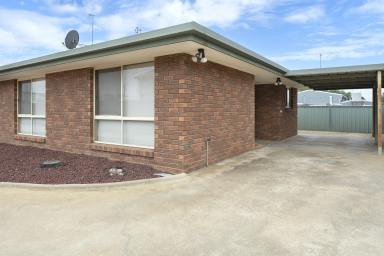 Block of Units For Sale - NSW - Balranald - 2715 - A Rare Five-Unit Investment with Multiple Income Streams  (Image 2)