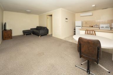 Block of Units For Sale - NSW - Balranald - 2715 - A Rare Five-Unit Investment with Multiple Income Streams  (Image 2)