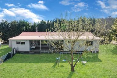 Lifestyle For Sale - NSW - Quialigo - 2580 - Best Of Both Worlds, Country Home on 102 Acres, Green Pasture/Native Bushland,  (Image 2)