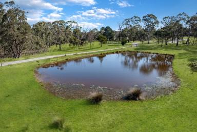 Lifestyle For Sale - NSW - Quialigo - 2580 - Best Of Both Worlds, Country Home on 102 Acres, Green Pasture/Native Bushland,  (Image 2)