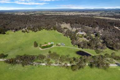 Lifestyle For Sale - NSW - Quialigo - 2580 - Best Of Both Worlds, Country Home on 102 Acres, Green Pasture/Native Bushland,  (Image 2)