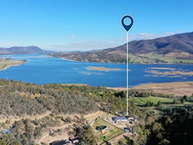House For Sale - TAS - Dromedary - 7030 - Private Family Oasis on Over 4 Acres with Separate Self-Contained Accommodation  (Image 2)