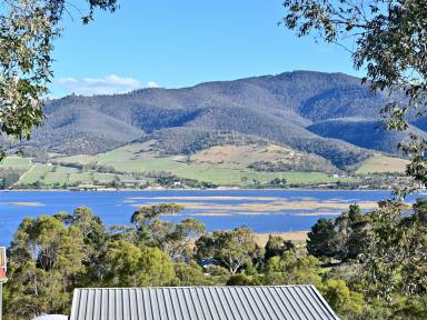 House For Sale - TAS - Dromedary - 7030 - Private Family Oasis on Over 4 Acres with Separate Self-Contained Accommodation  (Image 2)
