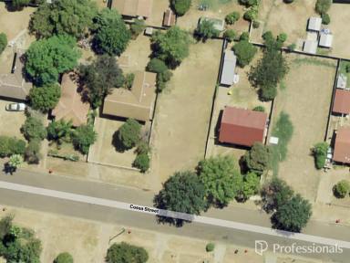 Residential Block For Sale - NSW - West Tamworth - 2340 - West Tamworth - Land For Sale  (Image 2)
