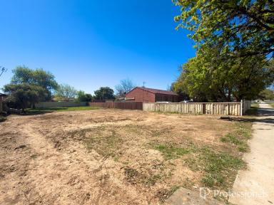 Residential Block For Sale - NSW - West Tamworth - 2340 - West Tamworth - Land For Sale  (Image 2)