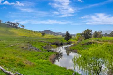 Mixed Farming For Sale - NSW - Crudine - 2795 - Productive Grazing Property with River Frontage & Quality Infrastructure  (Image 2)