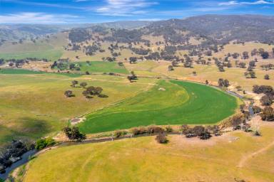Mixed Farming For Sale - NSW - Crudine - 2795 - Productive Grazing Property with River Frontage & Quality Infrastructure  (Image 2)