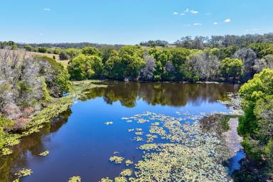 Acreage/Semi-rural For Sale - QLD - Veteran - 4570 - 23 Acres, Two Titles & Endless Potential - Just 10 Minutes from Gympie  (Image 2)