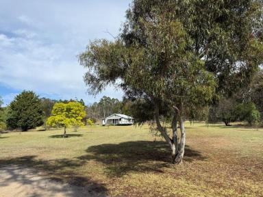 Lifestyle For Sale - QLD - Applethorpe - 4378 - Stanthorpe Hidden Treasure  (Image 2)