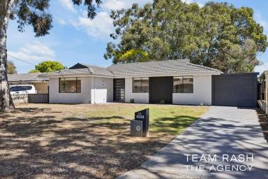House For Sale - WA - Maddington - 6109 - Modern Family Home with a Huge Backyard  (Image 2)