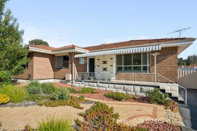 House For Sale - WA - Hamersley - 6022 - 'Park View'! - Renovated Delight in West Hamersley!  (Image 2)
