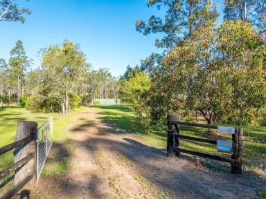Mixed Farming For Sale - NSW - West Bungawalbin - 2471 - Private Rural Lifestyle with Space, Opportunity and Endless Potential  (Image 2)