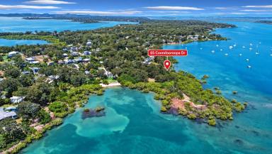 House For Sale - QLD - Macleay Island - 4184 - ONCE-IN-A-LIFETIME WATERFRONT ACREAGE – 5,437m² WITH “THE POINT” WATER FRONTAGE  (Image 2)