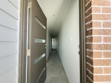 Duplex/Semi-detached For Lease - NSW - Kootingal - 2352 - 3 Bedroom Duplex - Kootingal  (Image 2)