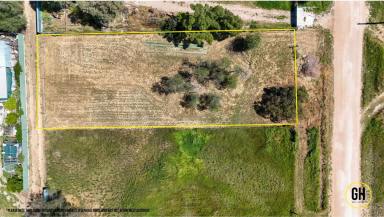 Residential Block For Sale - VIC - Nyah West - 3595 - Affordable Land in a Peaceful Country Township  (Image 2)