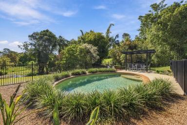 House For Sale - QLD - Cooran - 4569 - A Private Hinterland Retreat with Pool, Shed & Space to Enjoy  (Image 2)
