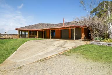 Lifestyle Auction - NSW - Goulburn - 2580 - 'Narrangarril', Perfectly placed for country life.  (Image 2)