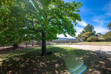 Lifestyle Auction - NSW - Goulburn - 2580 - 'Illa-Langi', adventure country escape or peace and privacy away from it all!  (Image 2)