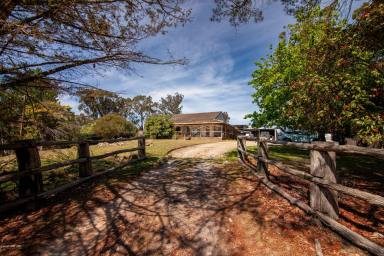Lifestyle Auction - NSW - Goulburn - 2580 - 'Illa-Langi', adventure country escape or peace and privacy away from it all!  (Image 2)