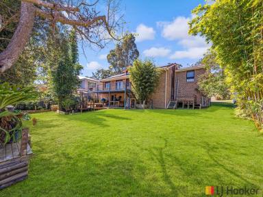 House For Sale - NSW - Surf Beach - 2536 - Alpine Charm Meets Coastal Living: A Unique Sanctuary @ Surf Beach (Image 2)