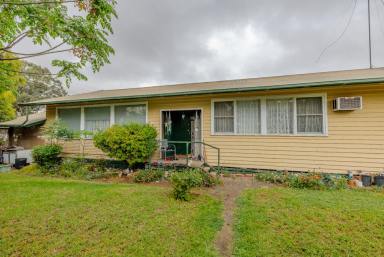 House For Sale - VIC - Ouyen - 3490 - Convience at your doorstep! (Image 2)