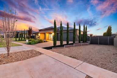 House For Sale - VIC - Mildura - 3500 - Where Space Meets Sophistication  (Image 2)
