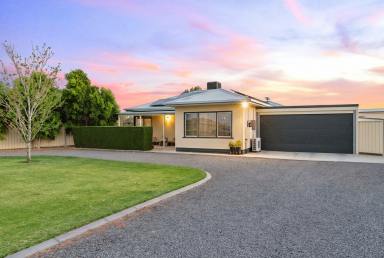House For Sale - VIC - Red Cliffs - 3496 - Room for family, room for more (Image 2)