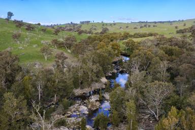 Mixed Farming For Sale - NSW - Crookwell - 2583 - A Rare Southern Tablelands Holding | 539.54 hectares | 1,333 acres | Expressions of Interest  (Image 2)