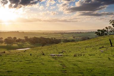 Mixed Farming For Sale - NSW - Crookwell - 2583 - A Rare Southern Tablelands Holding | 539.54 hectares | 1,333 acres | Expressions of Interest  (Image 2)