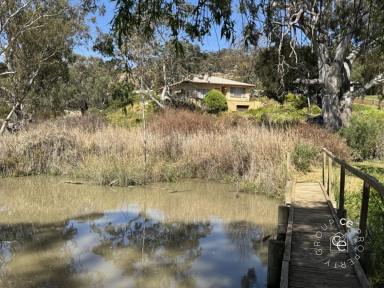 House For Sale - SA - Younghusband - 5238 - Something Really Special About This One  (Image 2)