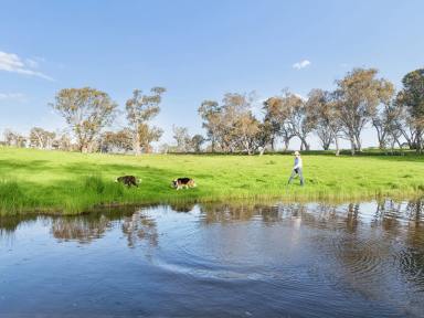 Residential Block Auction - NSW - Murrumbateman - 2582 - Your Future Country Home Starts Here  (Image 2)