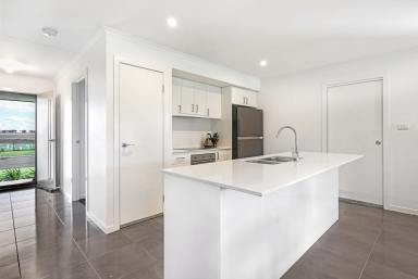 House For Lease - NSW - Tamworth - 2340 - Feature Packed Paradise in Westdale  (Image 2)