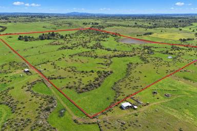 Livestock For Sale - VIC - Cundare - 3251 - WARM HEALTHY COLAC DISTRICT ACREAGE (Image 2)