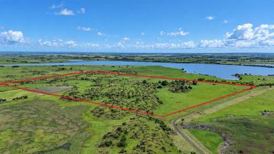 Livestock For Sale - VIC - Cundare - 3251 - WARM HEALTHY COLAC DISTRICT ACREAGE (Image 2)