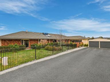 House For Sale - TAS - Oatlands - 7120 - Modern Country Living on 5.1 Acres  (Image 2)