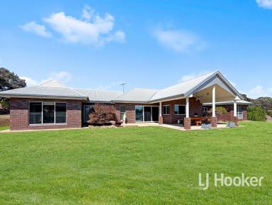 House For Sale - NSW - Inverell - 2360 - 'Garthowen' Quality Rural Living on 11 Acres  (Image 2)