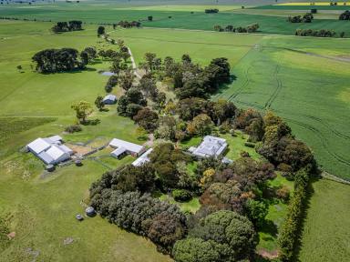 Mixed Farming For Sale - SA - Bool Lagoon - 5271 - Subiaco  (Image 2)