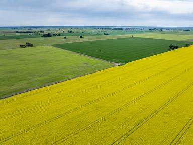 Mixed Farming For Sale - SA - Bool Lagoon - 5271 - Subiaco  (Image 2)